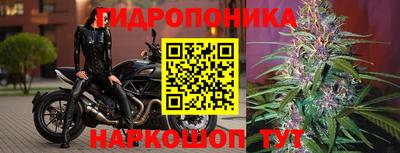 дживик Нарткала
